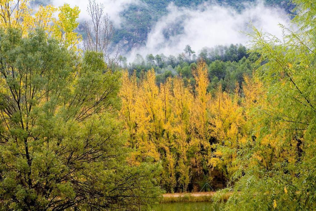 Hotel Rural Noguera De La Sierpe Arroyo Frío Eksteriør bilde
